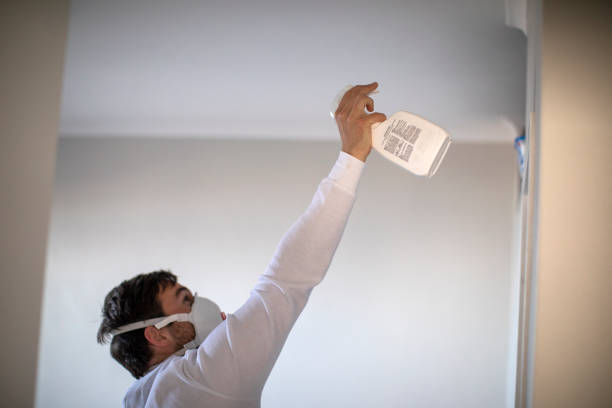 Best Fast Mold Removal  in Pearsall, TX