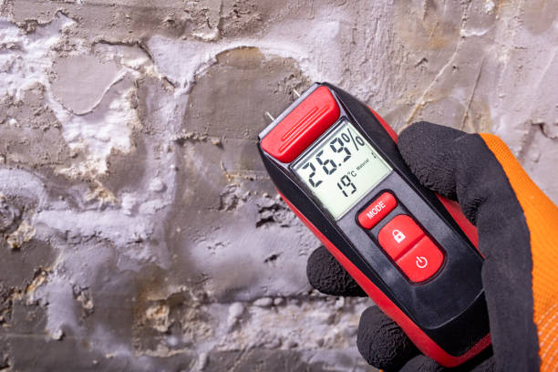 Best Water Damage Restoration  in Pearsall, TX