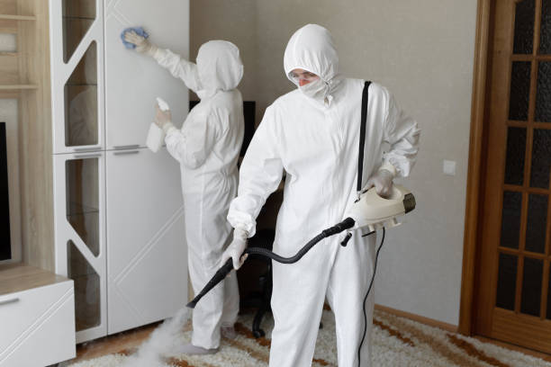 Professional Mold Removal in Pearsall, TX