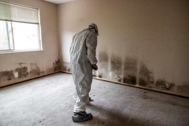 Crawl Space Mold Removal in Pearsall, TX
